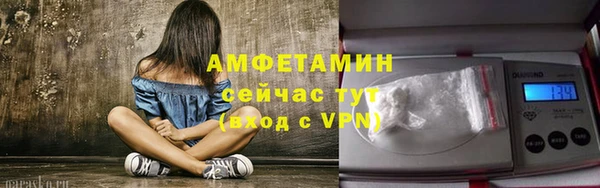 дмт Горняк