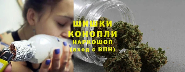 spice Горнозаводск