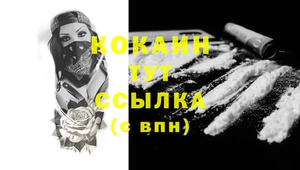 дмт Горняк