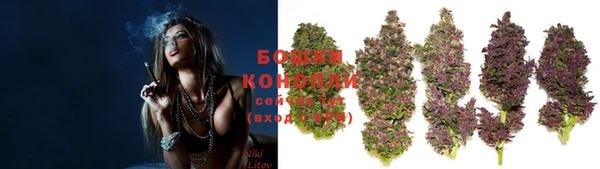 spice Горнозаводск