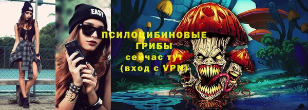 дмт Горняк