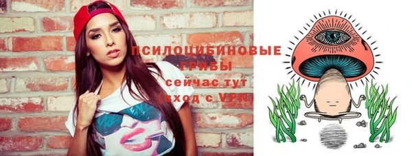 дмт Горняк