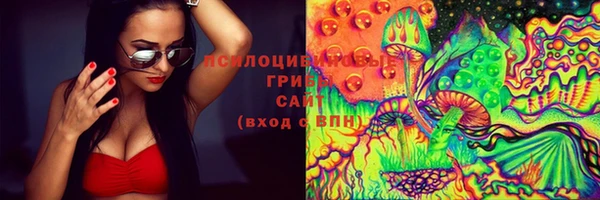 spice Горнозаводск