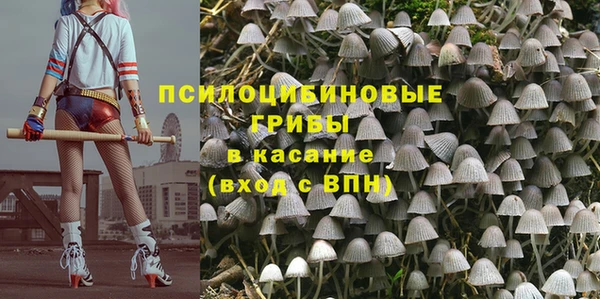 spice Горнозаводск