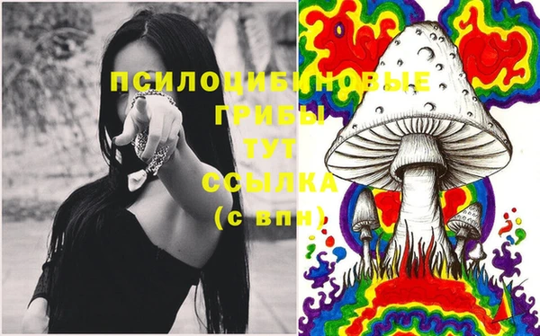 молекула духа Горно-Алтайск