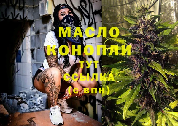 дмт Горняк