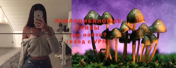 spice Горнозаводск