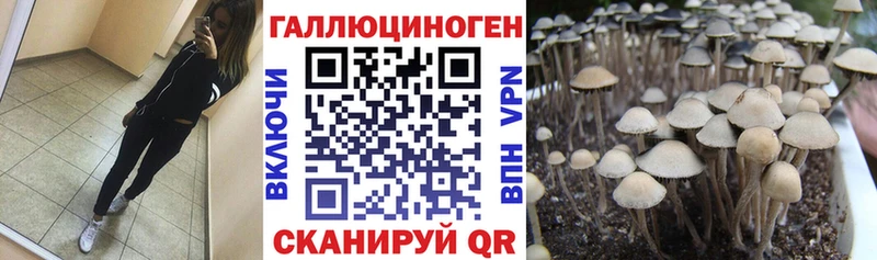 Галлюциногенные грибы Cubensis  Каменск-Уральский 